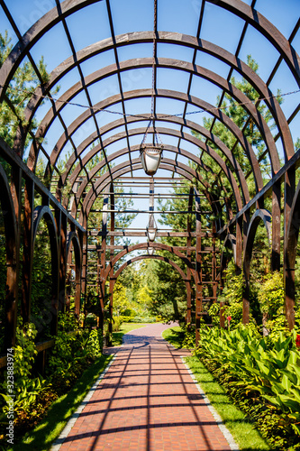 Iron arched greenhouse. Iron arch in a garden. Forged fence metal garden arch. Landscape design outdor exterior with architectural decorative elements. Botanical Garden View. Alley arches