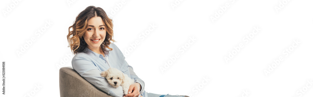panoramic shot of smiling woman holding Havanese puppy and sitting on armchair isolated on white panoramic shot of smiling woman holding Havanese puppy and sitting on armchair isolated on white