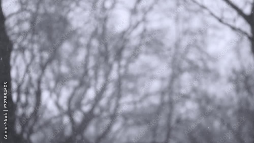 Snowfall in winter city. Snowy nasty windy weather. Snowfall in winter city. Snowy nasty windy weather.