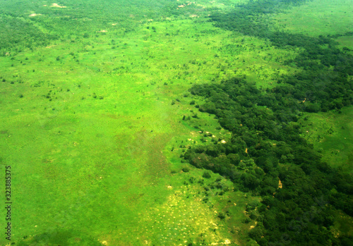 Fototapeta Naklejka Na Ścianę i Meble -  A view from a airplane on jungle in the rainy season in Congo on the line between Lubumbashi and Kalemie.