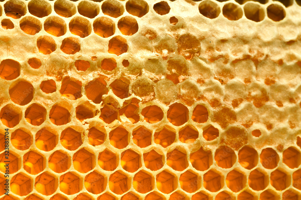 Honeycomb with honey. macro shot. Honeycomb with honey. macro shot.