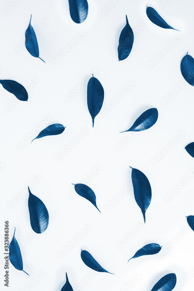 green leaves isolated on a white background. top view, layout . flat lay. classic blue color of the year 2020. color trend