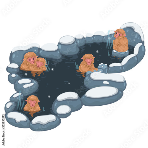 Japanese monkeys in a hot spring isolate on a white background. Vector graphics.