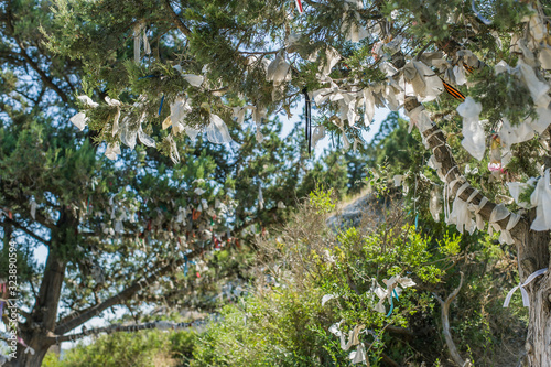 A tree for tourists in the Genoese fortress in Crimea with branches decorated with knotted fabric ribbons photo