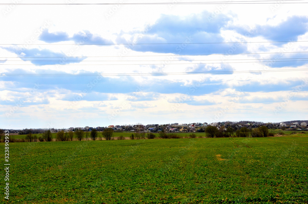 Green agricultural field against the background of a village with residential wooden houses