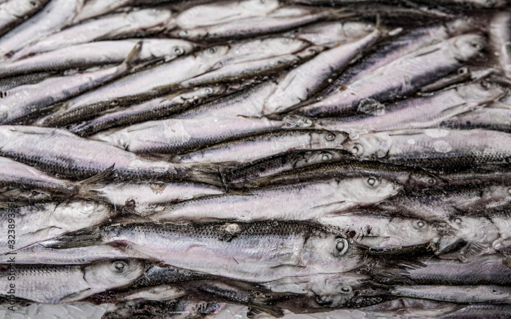 Close-up of frozen sprat in fish market. Winter fishing. Small silver fish. Close-up of frozen sprat in fish market. Winter fishing. Small silver fish.