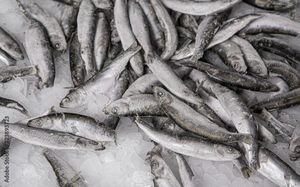 Close-up of fresh sprat on the ice in fish market. Winter fishing. Small silver fish production. Close-up of fresh sprat on the ice in fish market. Winter fishing. Small silver fish production.