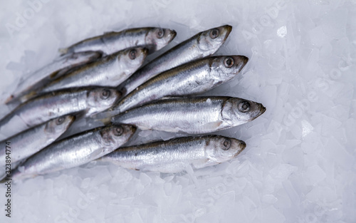Frozen fish. Small silver sprat in the market. Pieces of ice. Close-up. Winter fishing.