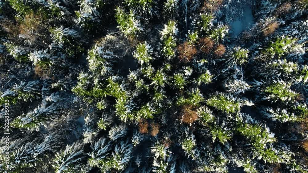 Winter Season, Snowy Mountain Forest, beautiful aerial shot Winter Season, Snowy Mountain Forest, beautiful aerial shot