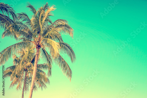 Palm tree on blue sky background with copy space, vintage style