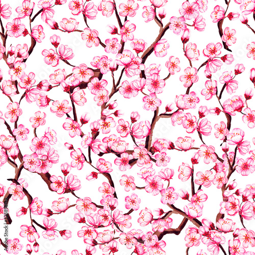 Watercolor floral sakura seamless pattern. Spring cherry blossom background, isolated on white.