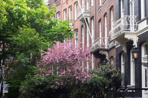 Amsterdam Streets