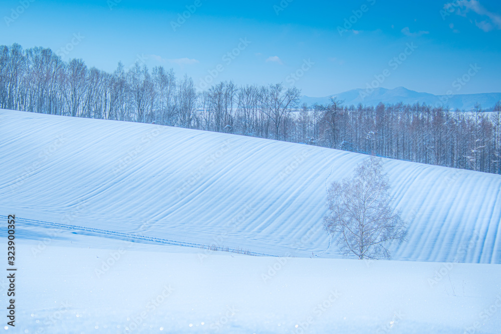 雪模様