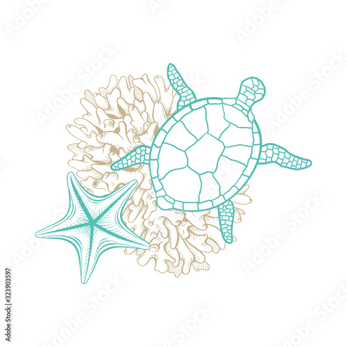 Marine art line design, vector sea turtle in mosaic style, sketch corals and starfish. Ocean and sea water life, tropical paradise and nautical line drawing composition in gold and turquoise color