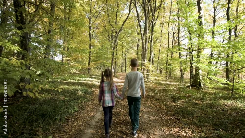 Two children walking holding hands in autumn forest with bright orange and yellow leaves. Dense woods in sunny fall weather. Two children walking holding hands in autumn forest with bright orange and yellow leaves. Dense woods in sunny fall weather.