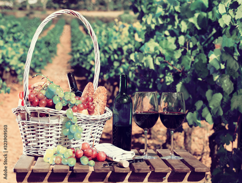 red wine ripe grapes and picnic basket on table in vineyard red wine ripe grapes and picnic basket on table in vineyard