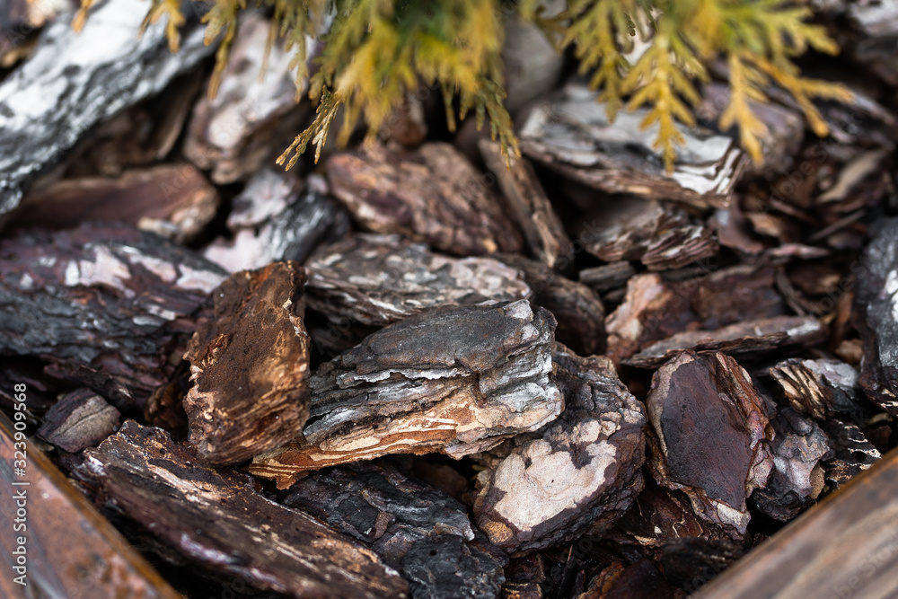 Natural full frame background on angled view of red and brown pieces of tree bark wood chip mulch for gardening or natural themes. Wood chips for landscaping in the gardens. Ecological background.