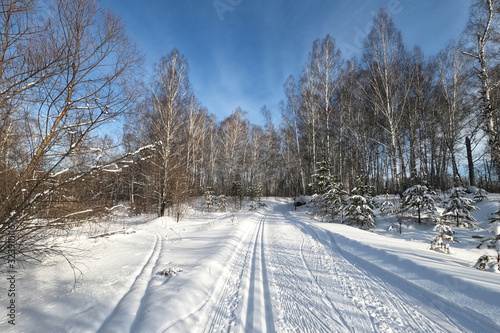 Ski track in a forest among treesin the countryside for sporting events, Novosibirsk, Russia