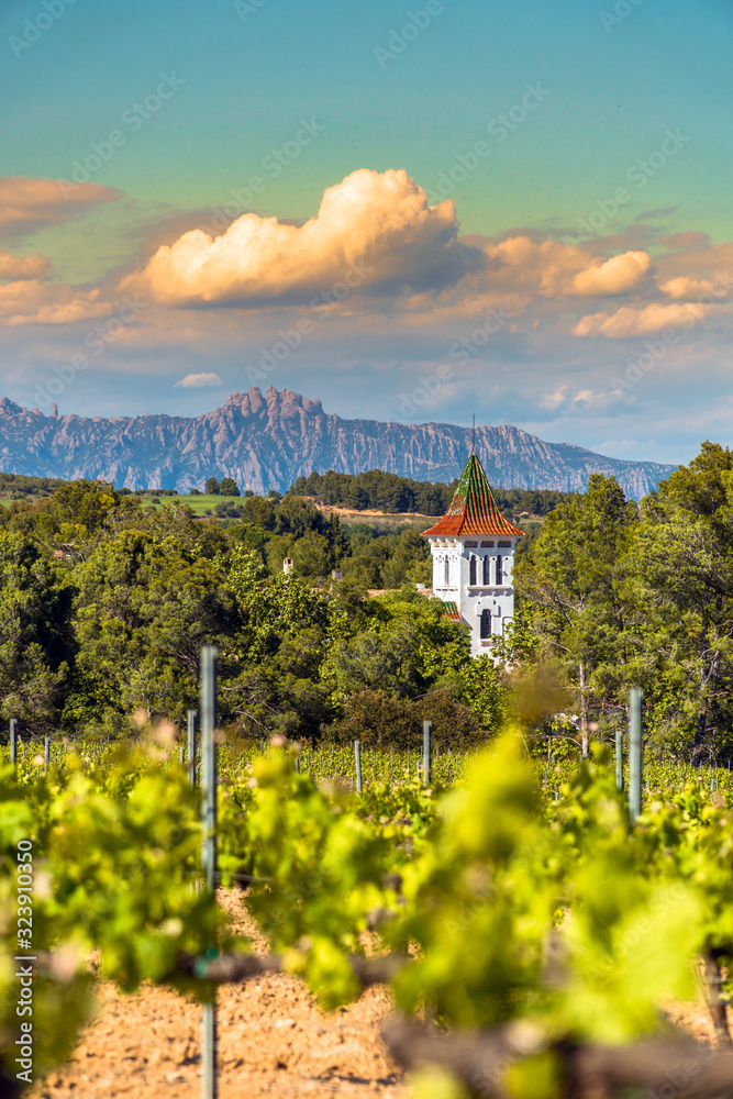 Φωτογραφία Vineyards at Penedes wine region with a beautiful cellar tower and the Montserrat Range in the distance / Catalonia, Spain