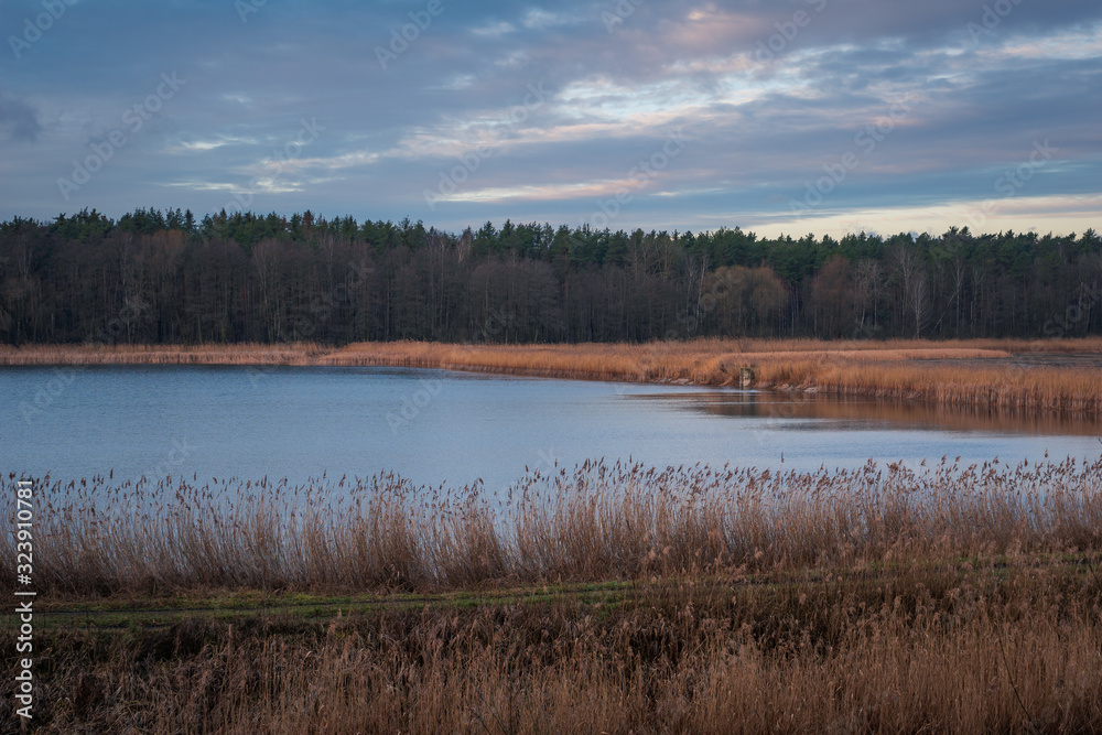Fototapeta premium Pond in Zalesie Gorne near Piaseczno, Poland