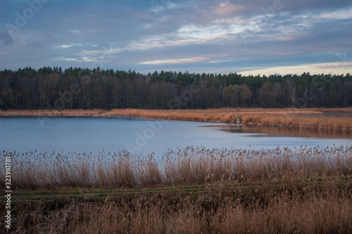 Pond in Zalesie Gorne near Piaseczno  Poland