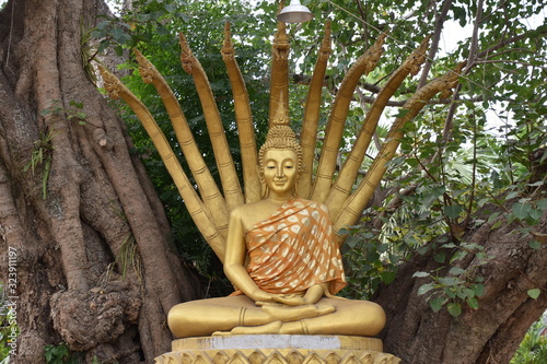 Dhyana Mudra Buddha with Nine-Headed Dragon, Luang Prabang, Laos photo