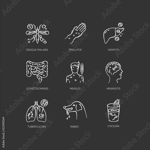 Viral infections chalk white icons set on black background. Different infectious diseases, contagious bacterial viruses. Various bacterial pathogens isolated vector chalkboard illustration