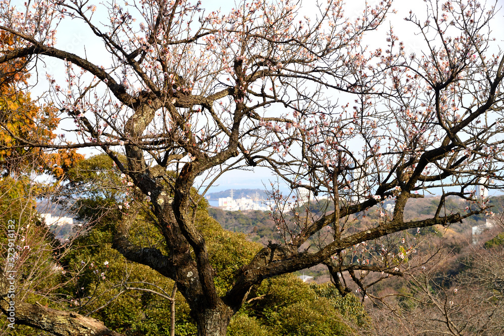 猿島 塚山公園 横須賀市西逸見町の風景 猿島 塚山公園 横須賀市西逸見町の風景