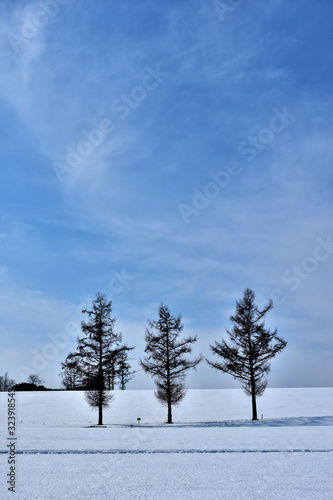 Wallpaper Mural 北海道，厳寒，Trees, Torontodigital.ca