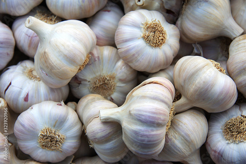Garlic background