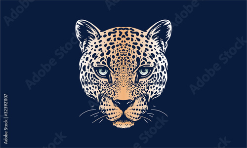 Leinwand Poster jaguar face on dark background