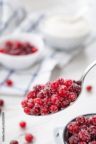 Fresh ripe cranberries with sugar in a spoon. Organic food containing vitamin C. Selective focus.