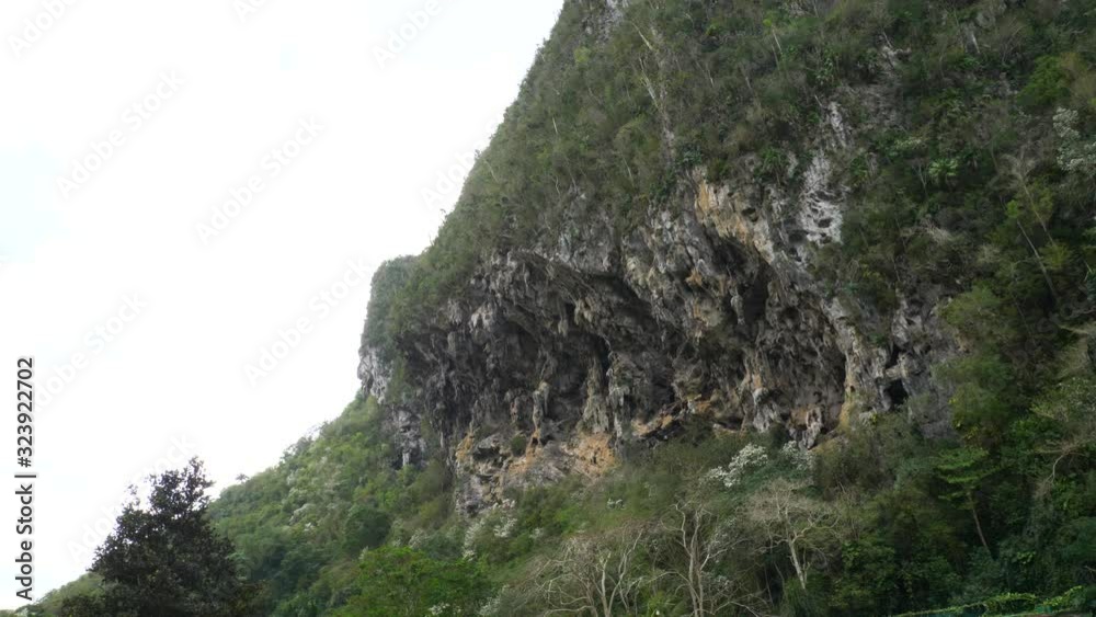 climber in Palenque (wider shot) climber in Palenque (wider shot)
