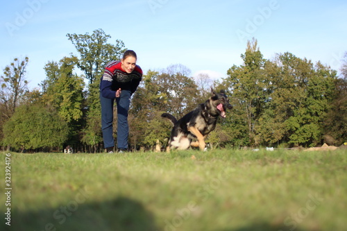 German Shepard training in park