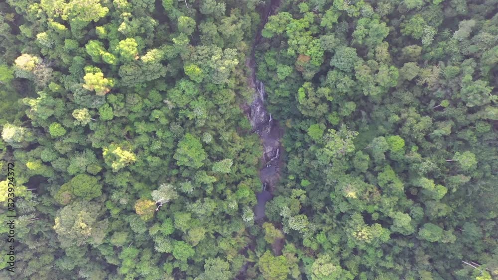Aerial video of tropical jungle with river and waterfalls Aerial video of tropical jungle with river and waterfalls