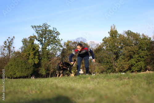 German Shepard training in park © sindret