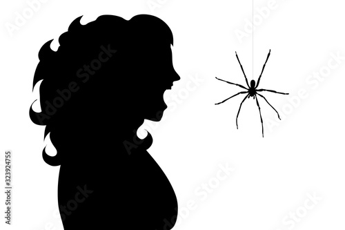 Vector silhouette of woman who fear spider on white background. Symbol of danger insect who people scary.