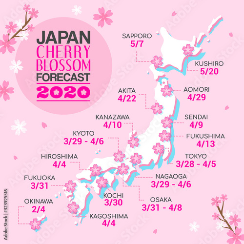Japan cherry blossom forecast 2020 vector illustration. Japan map on pink Sakura background.