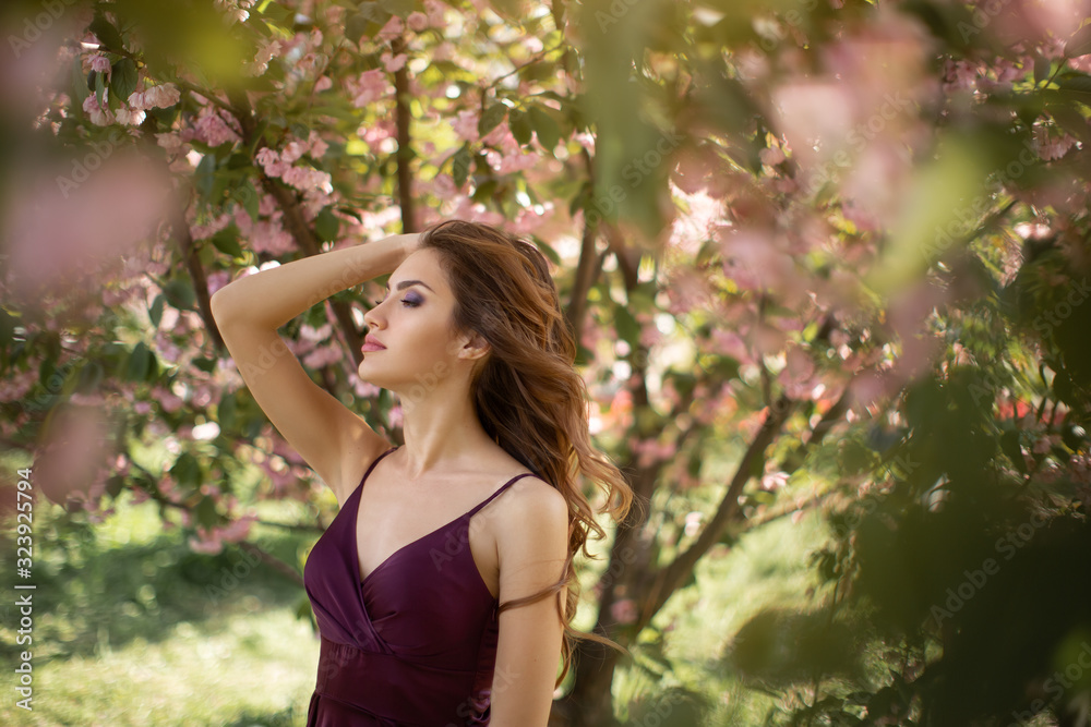 Woman at Blossoming Sakura Tree on Nature Woman at Blossoming Sakura Tree on Nature