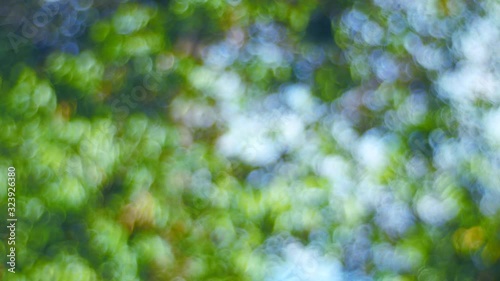 abstract background of green leaves bokeh light. blurred nature background