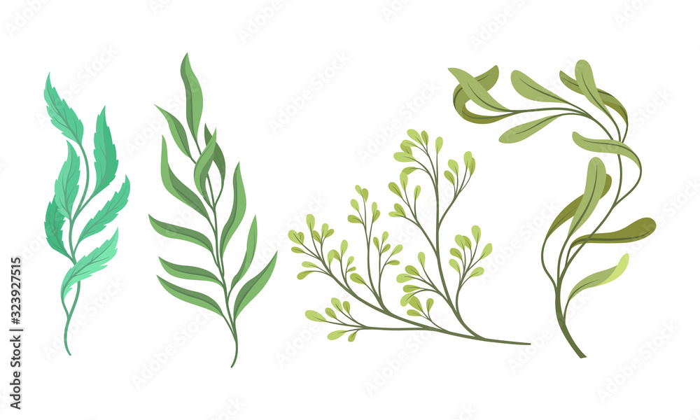 Obraz premium Tree Twigs and Branches with Green Leaves Vector Set