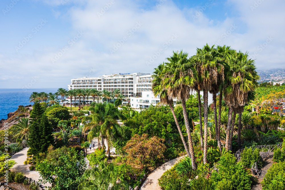 Garden with palm trees in front of hotel overlooking the Atlantic Ocean.
