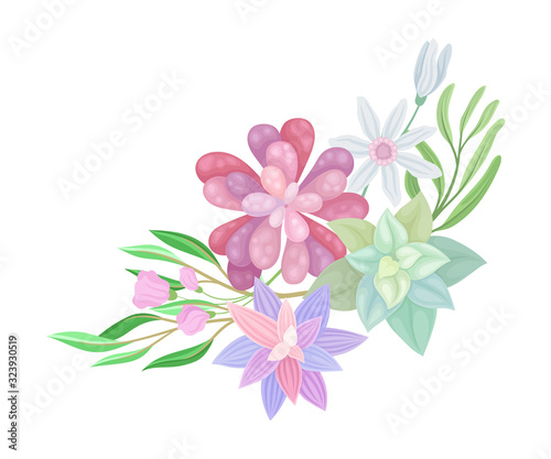 Floral Composition of Tender Colorful Succulent Plant Arranged with Botanical Twigs Vector Illustration