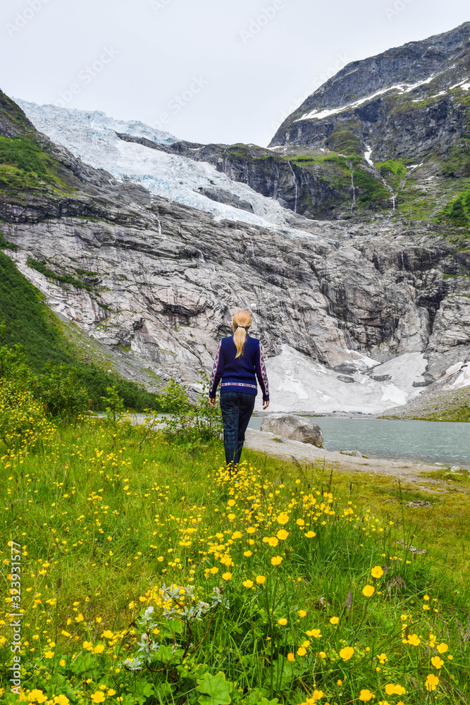 The young girl looks at the Boyabreen glacier, which is the sleeve of large Jostedalsbreen glacier and wild yellow flowers in the foreground. Melting glacier forms the lake with clear water. Norway.