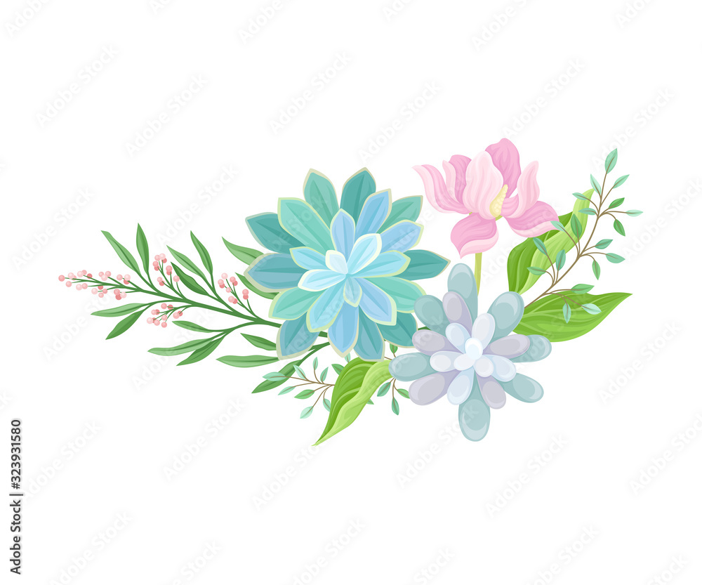 Succulent Echeveria Floral Arrangements Vector Set. Natural Cactus Bouquets Collection Succulent Echeveria Floral Arrangements Vector Set. Natural Cactus Bouquets Collection