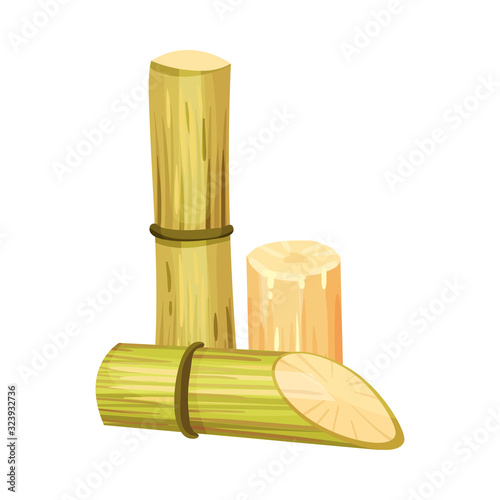 Cut and Bald Sugar Cane Stems Vector Illustration