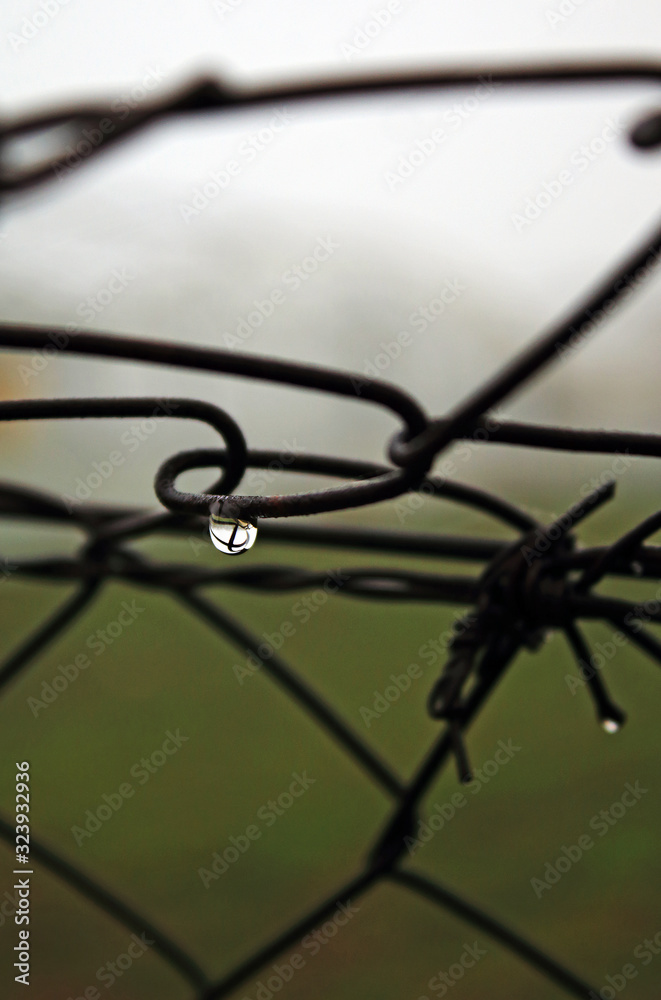 Iron fence with drops, in wet day Iron fence with drops, in wet day