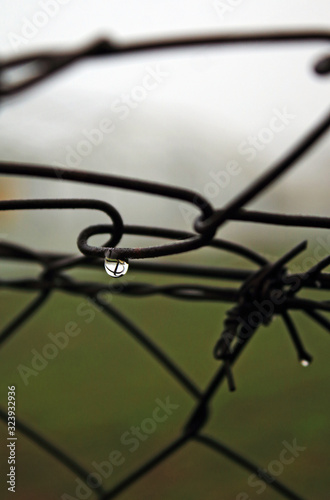 Iron fence with drops, in wet day