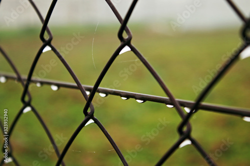 Iron fence with drops, in wet day