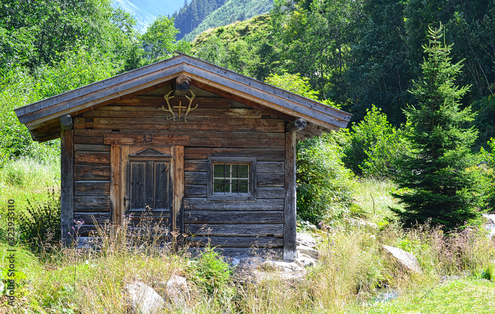 einsame-almh-tte-vor-tannenwald-in-den-alpen-stock-photo-adobe-stock